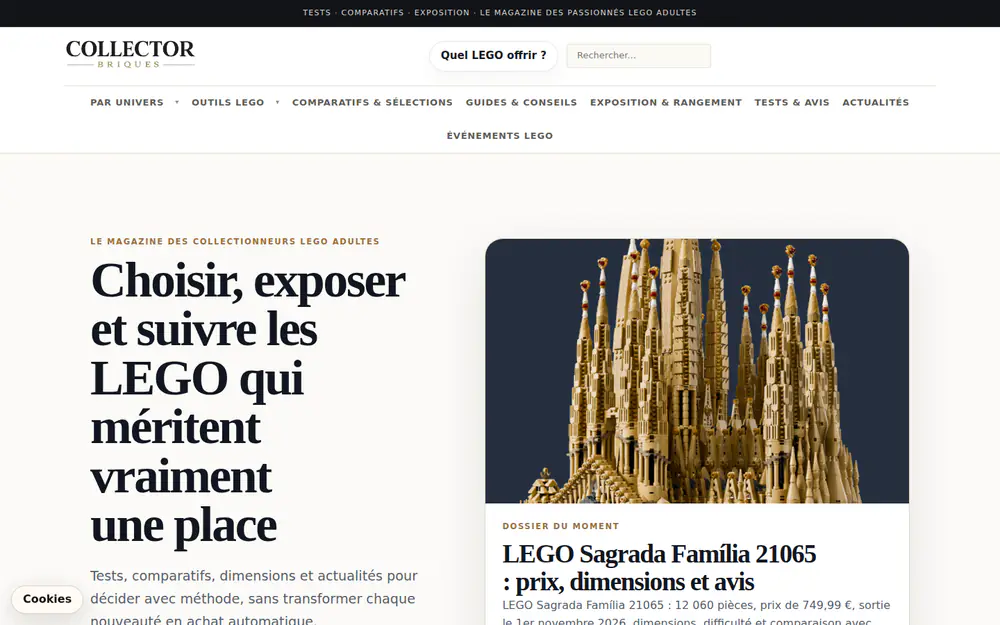 Aperçu réel du projet Collector Briques